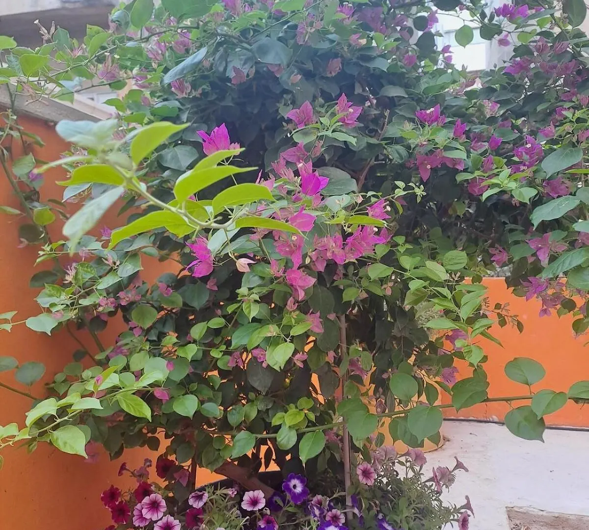 Fellini Julia Loft Balcony Apartment Haifa